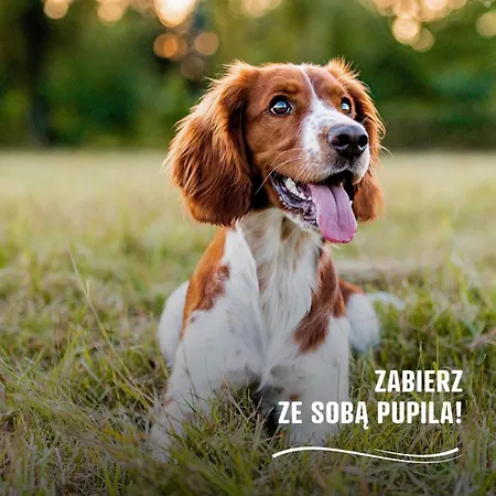 Wioska Indianska River Park * ザトル