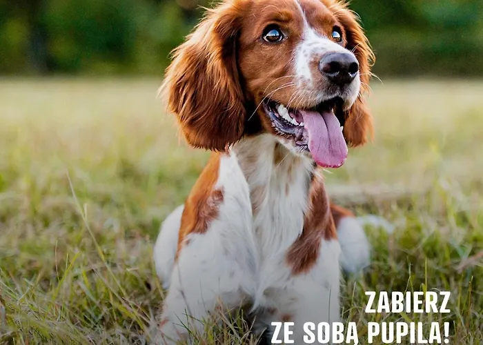 Wioska Indiańska River Park * Zator